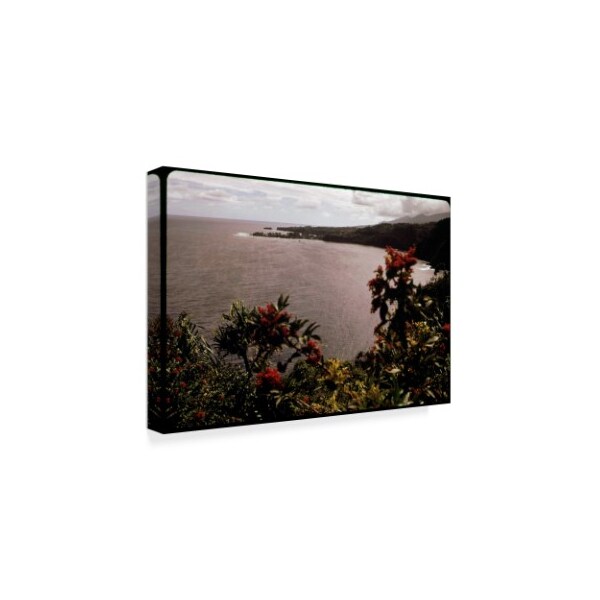 American Eyes 'Honomanu Bay' Canvas Art,22x32